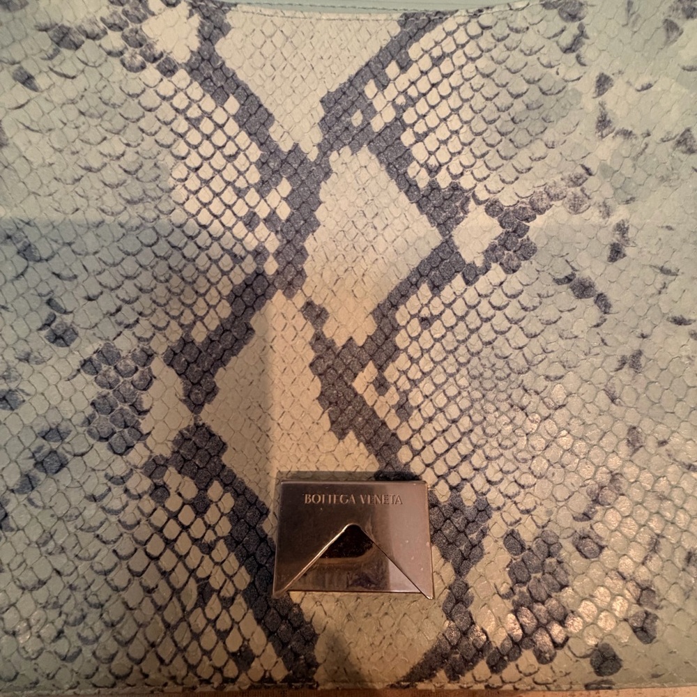 Bottega Veneta Mount Python Envelope Bag - Picture 6 of 11